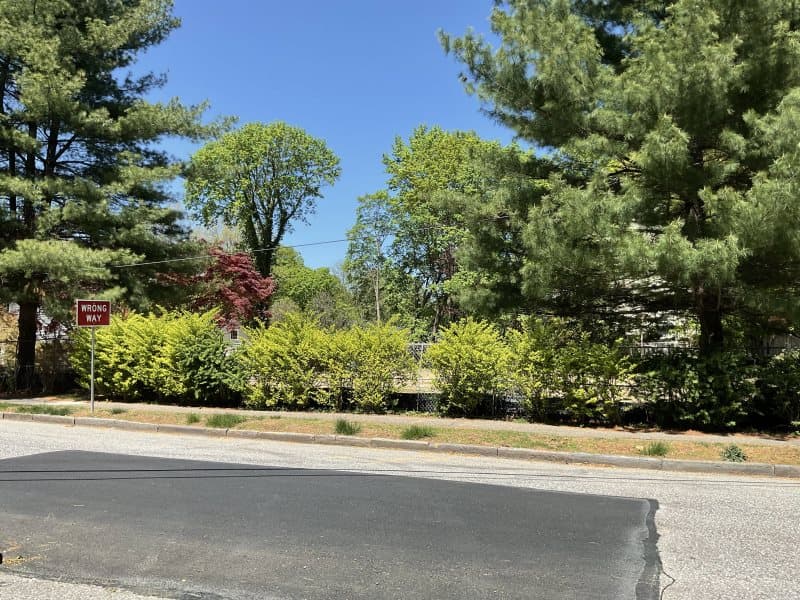 Photo of 19 WOODLAND PL , SCARSDALE