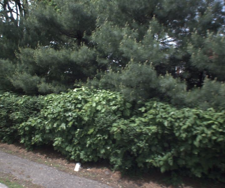 Photo of CRANE RD , SCARSDALE