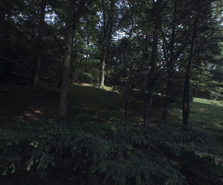 Photo of LARCH LA , SCARSDALE