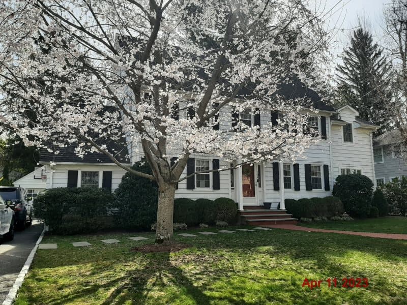 Photo of 106 BREWSTER RD , SCARSDALE