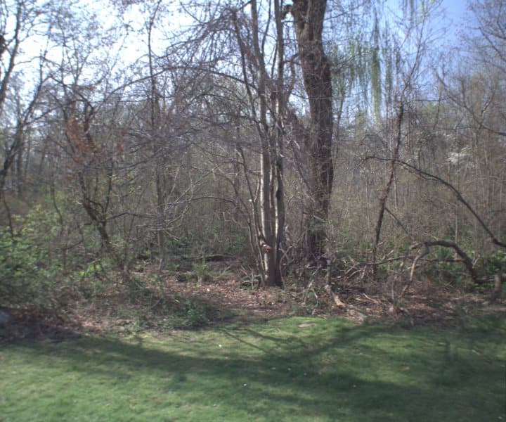 Photo of TUNSTALL RD , SCARSDALE