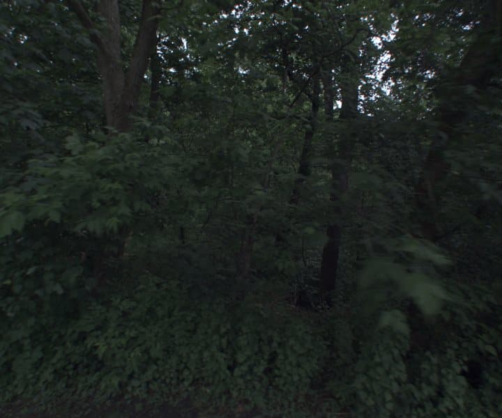 Photo of ROSS RD , SCARSDALE