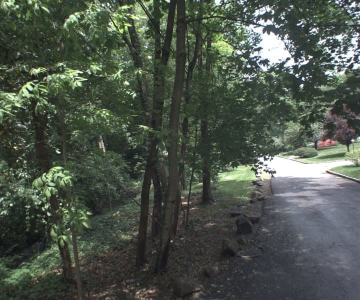 Photo of RICHBELL RD , SCARSDALE