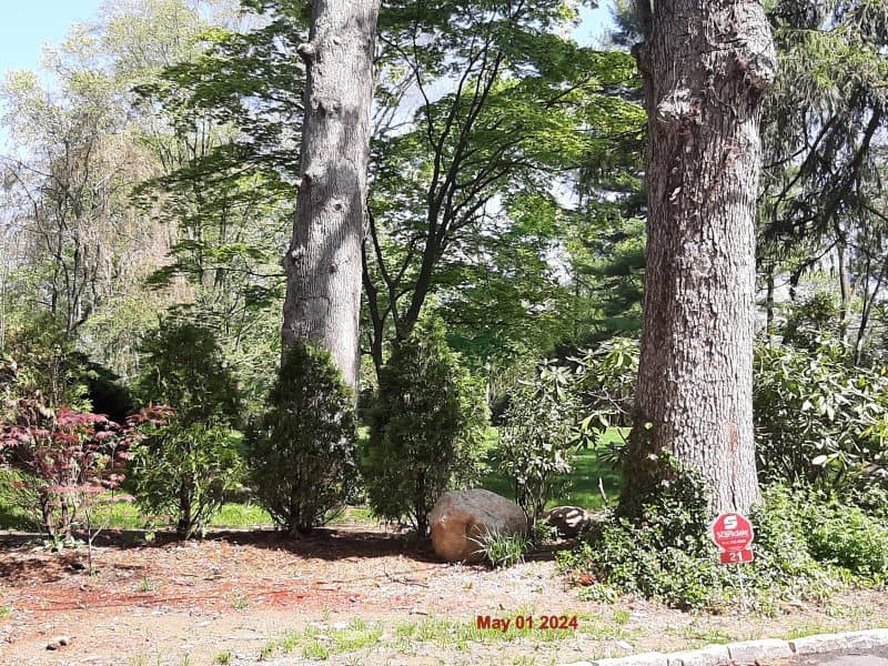 Photo of 21 RICHBELL RD , SCARSDALE