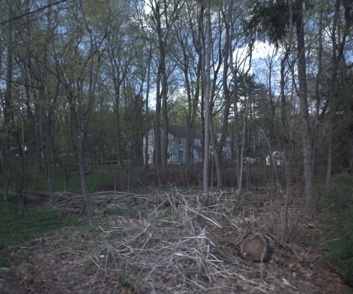 Photo of RUGBY LA , SCARSDALE