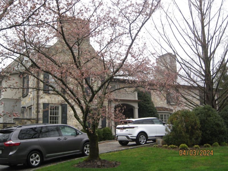 Photo of 18 DOLMA RD , SCARSDALE