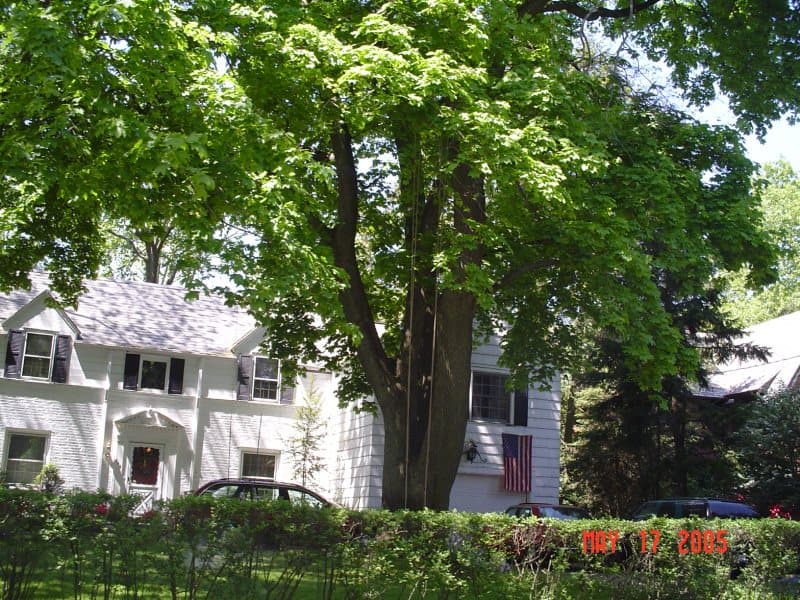 Photo of 246 MAMARONECK RD , SCARSDALE