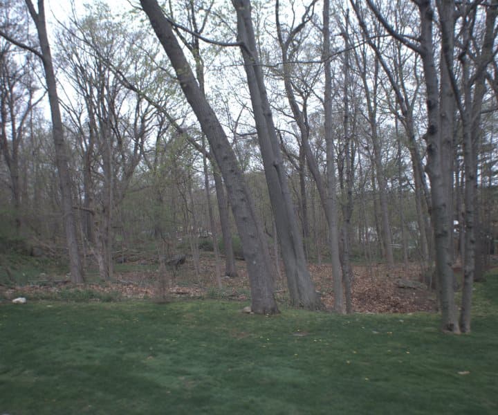 Photo of SYCAMORE RD , SCARSDALE