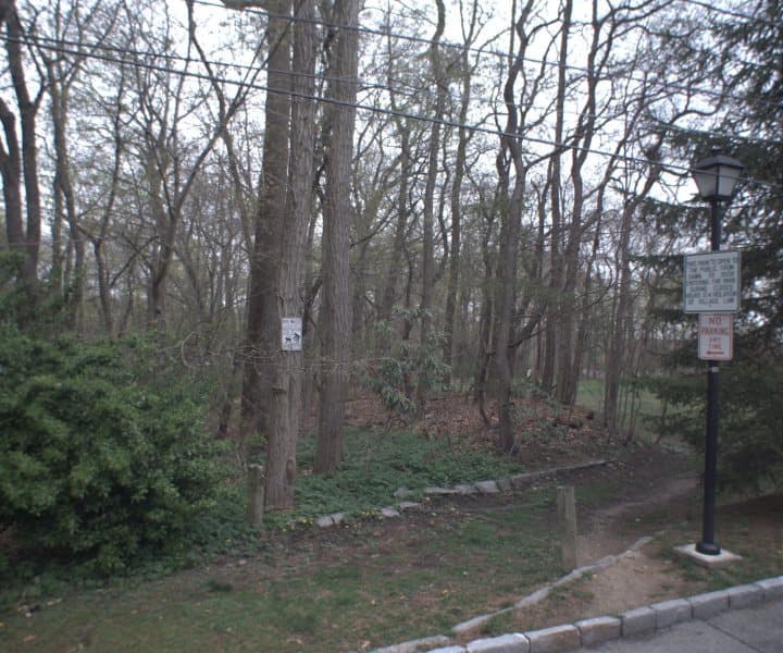 Photo of CORELL RD , SCARSDALE