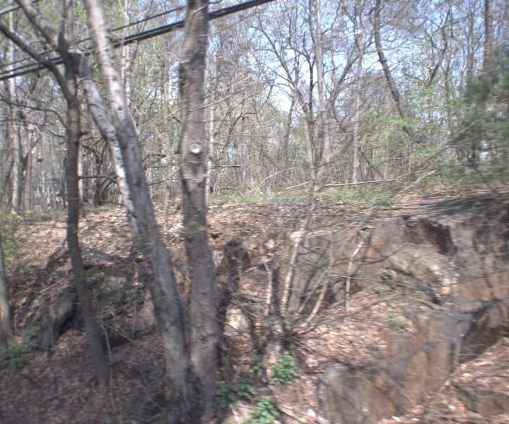 Photo of PALMER AVE , SCARSDALE