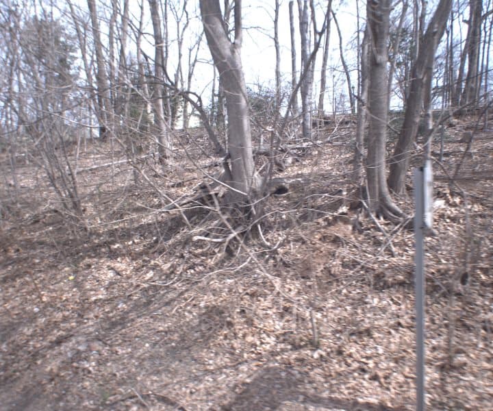 Photo of WEAVER ST , SCARSDALE