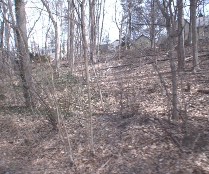 Photo of WEAVER ST , SCARSDALE