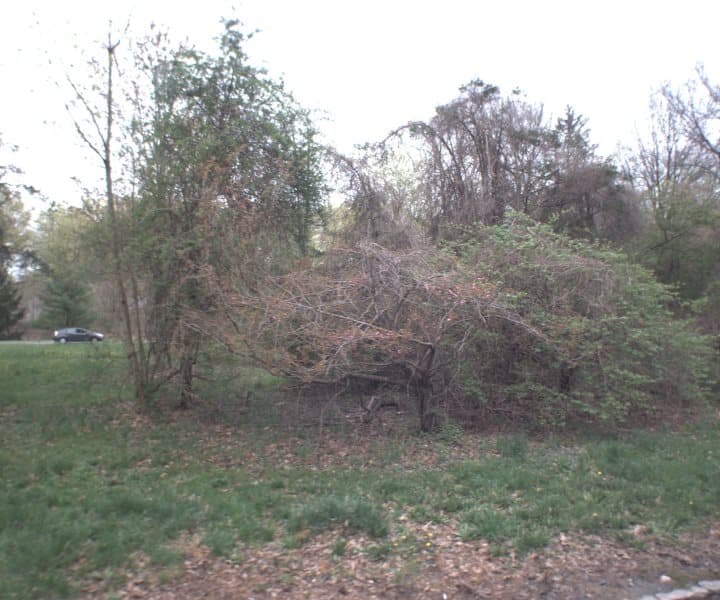 Photo of 362 MAMARONECK RD, SCARSDALE