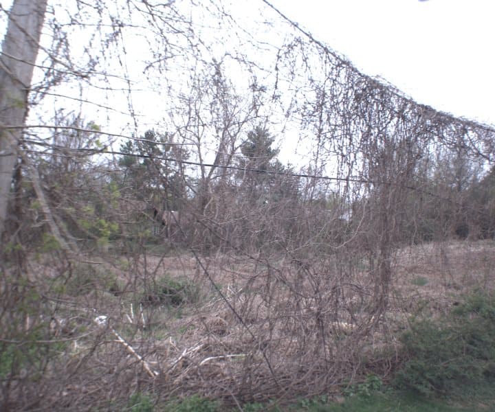 Photo of QUAKER SQ , SCARSDALE