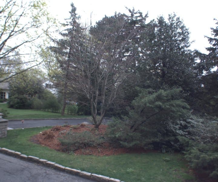 Photo of 17 CORNELL ST , SCARSDALE